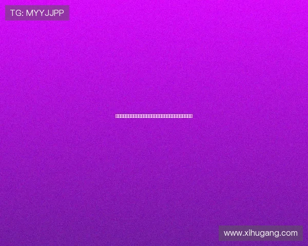 从入门到执裁赛场足球裁判资格证培养与职业发展全解析路径与前景